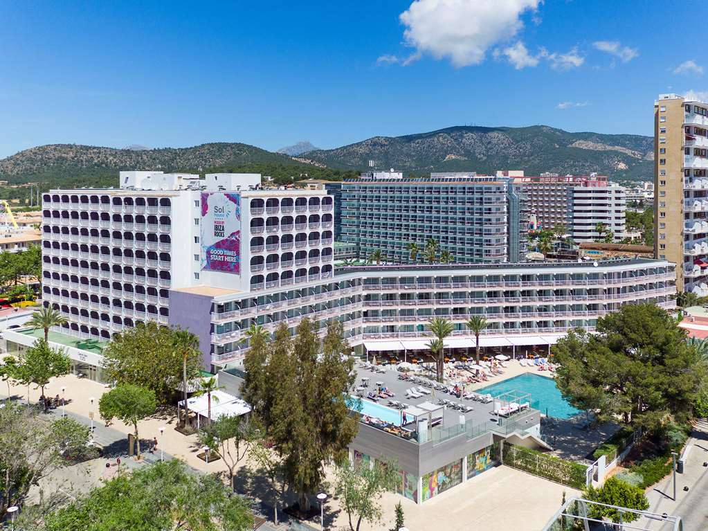 HOTEL SOL HOUSE THE STUDIO - CALVIA BEACH (ADULTS ONLY) MAGALUF (MALLORCA)  4* (Spain) - from US$ 93 | BOOKED
